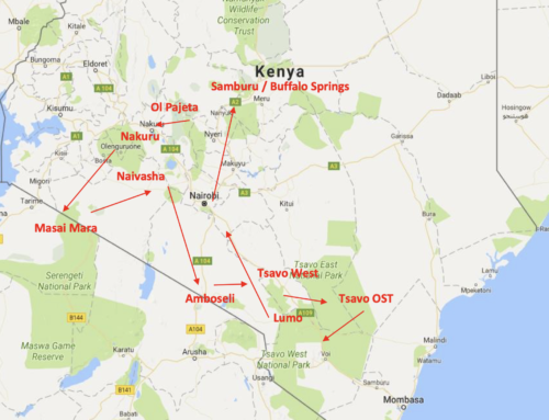 Kenia 2022 – First Trip