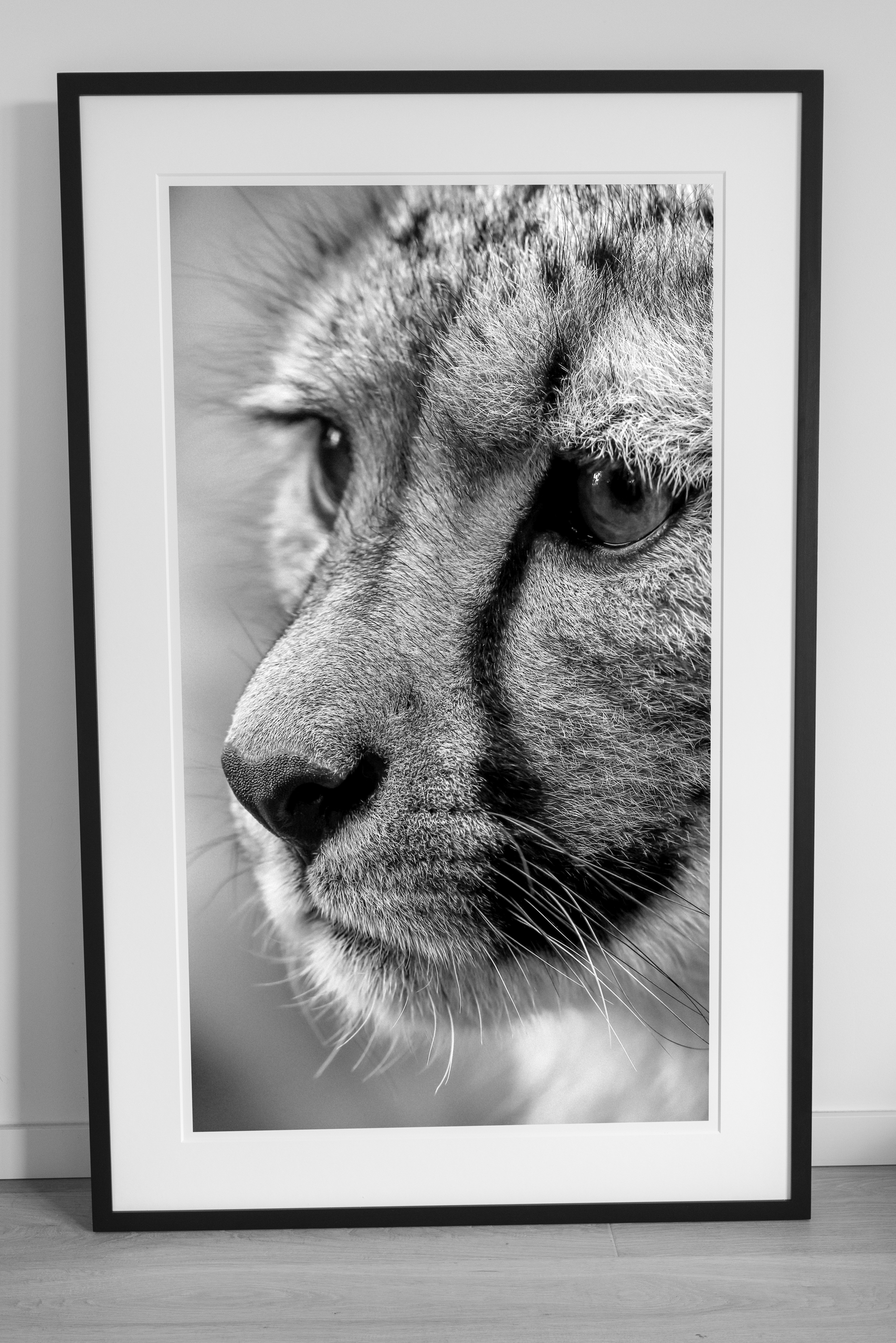 Cheetah gerahmt